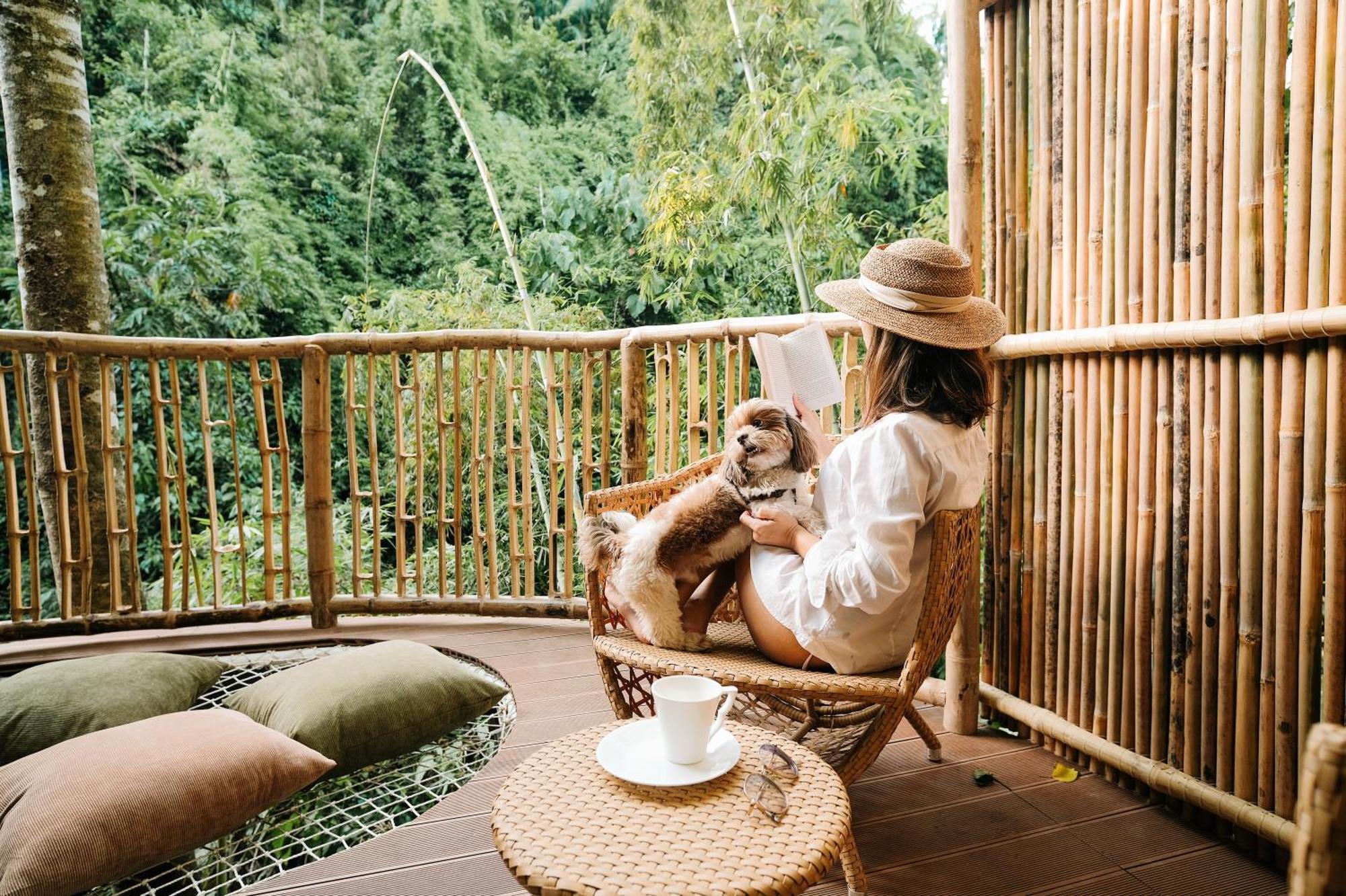 Villa Treehouse De Valentine Balamban Esterno foto