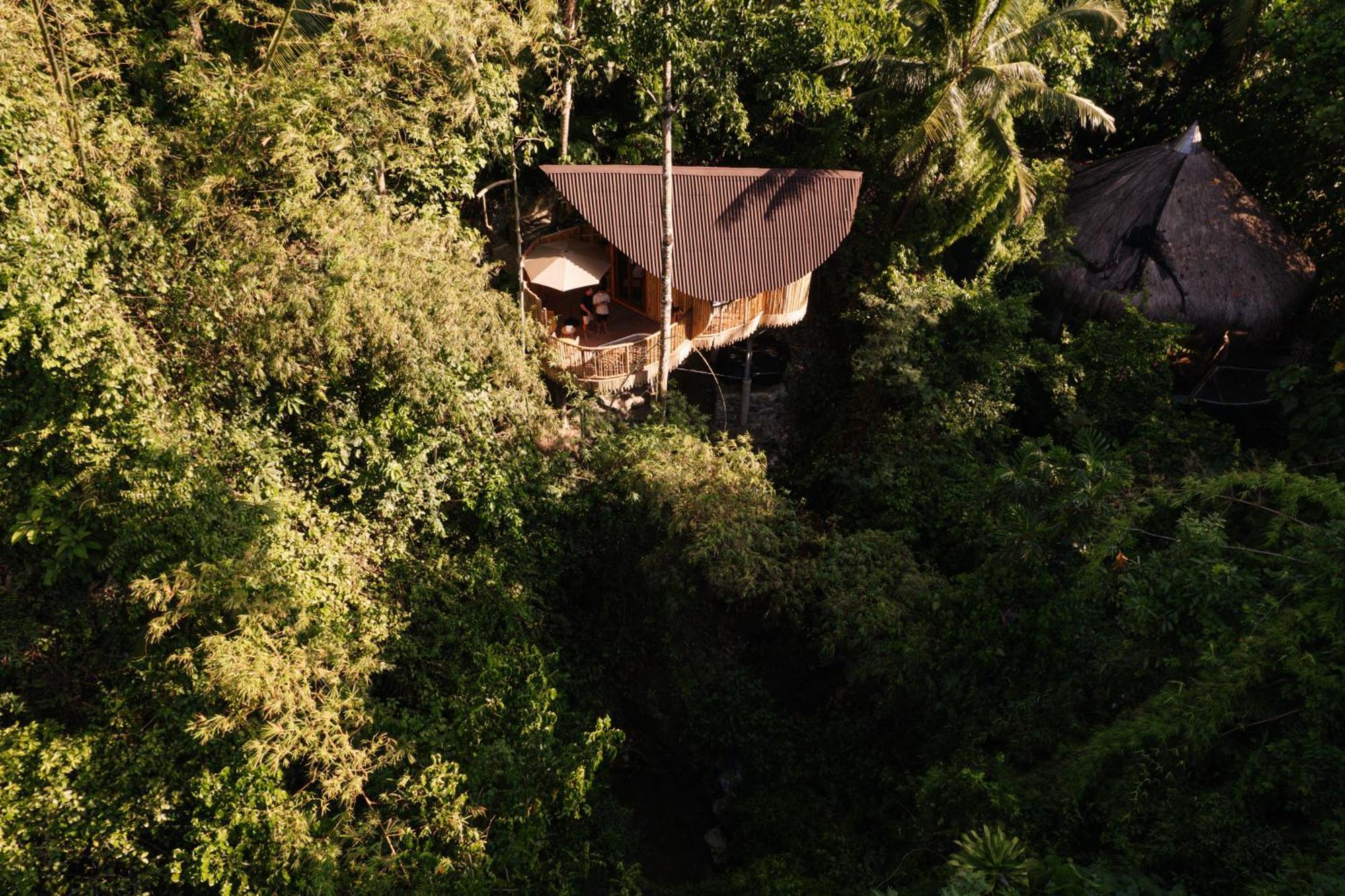 Villa Treehouse De Valentine Balamban Esterno foto
